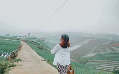 Terasering Sitegong, Negeri Sayur Sukomakmur Magelang Menjadi Primadona Para Traveler